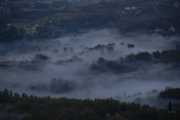 Clicca qui per vedere l'immagine in dettaglio